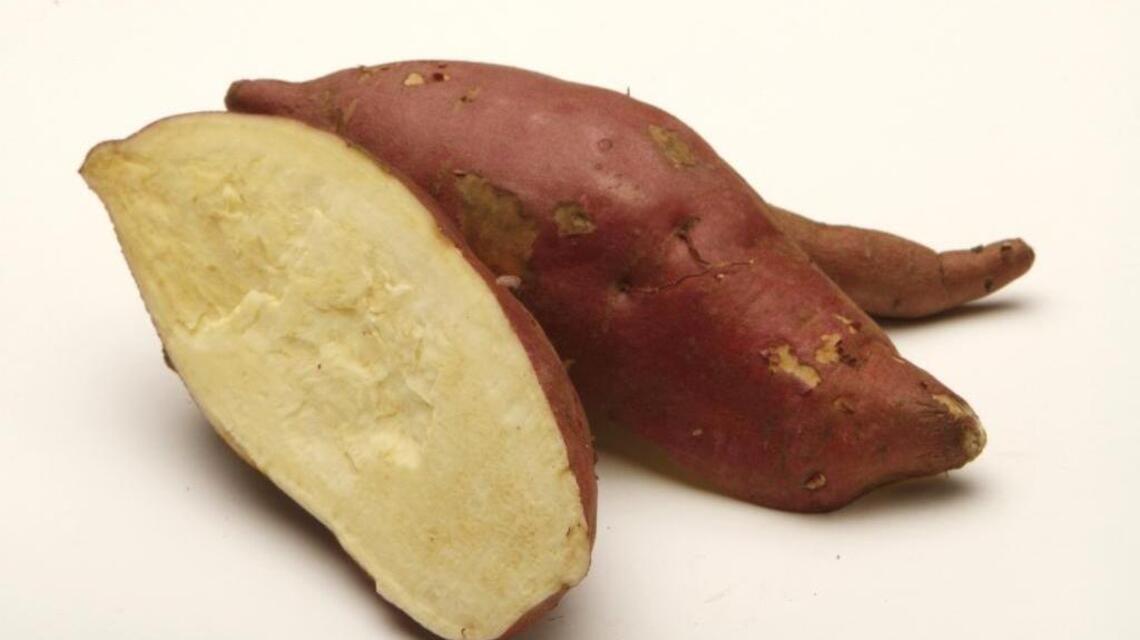This year, consider planting sweet potatoes