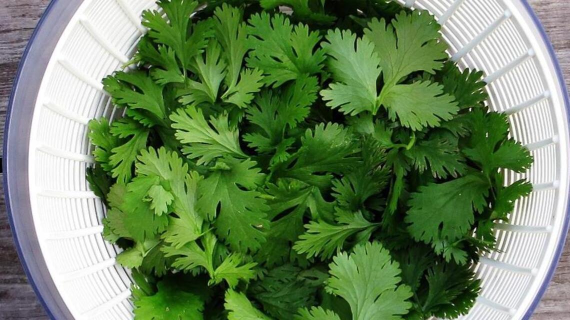 Adding flavor to our foods with the help of our gardens