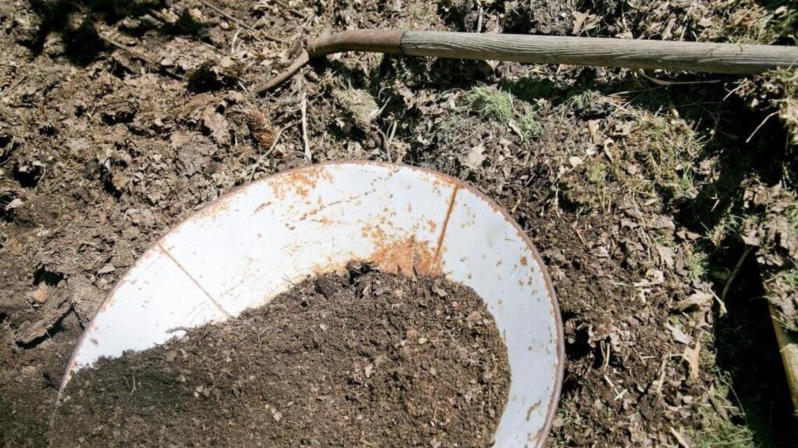 Add composting to your garden cleanup routine