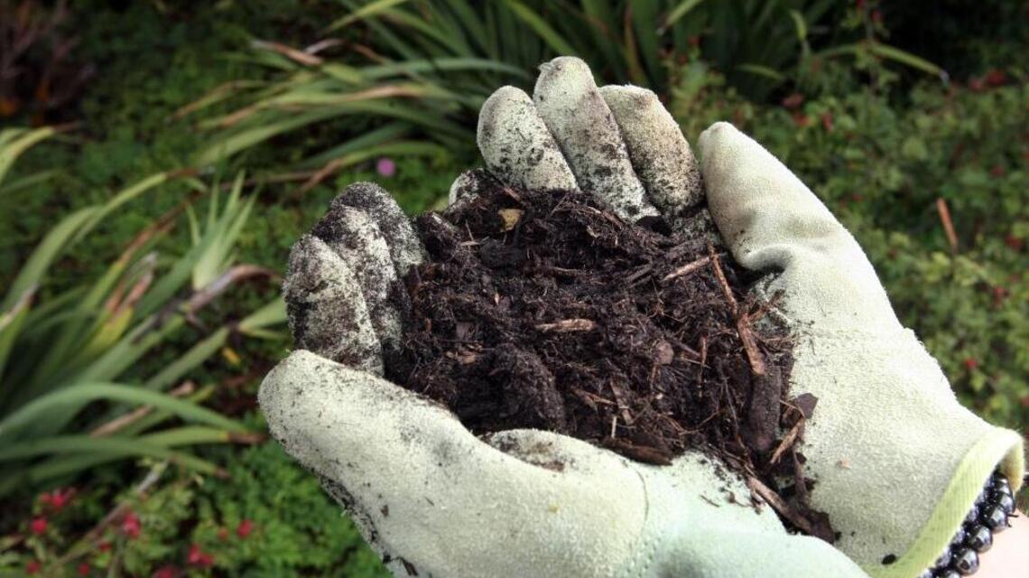 Fertilizer is not always needed for soil, but sometimes it is