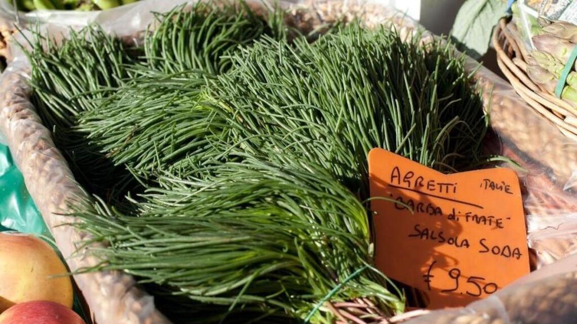 Agretti: Popular Italian green is hard to grow there, easy here