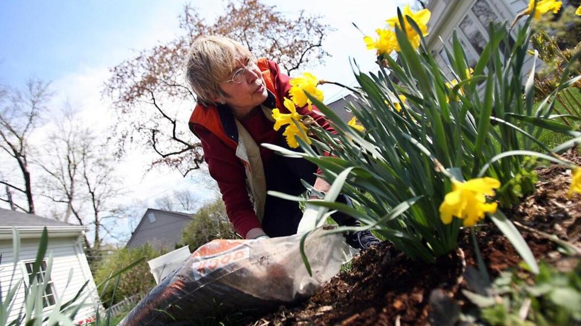 Mulching around plants remains vital. Here’s how to make sure you get it right.