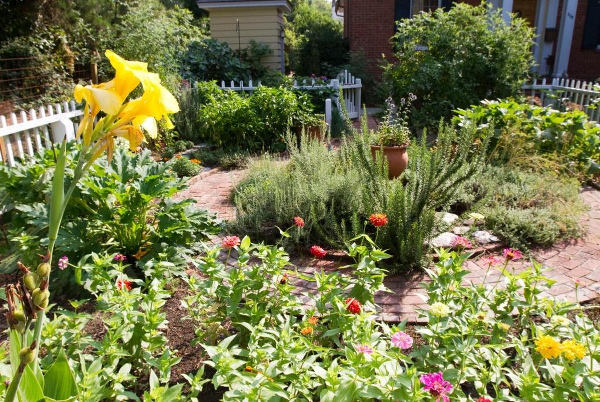 Cottage gardens often involve a picket fence.