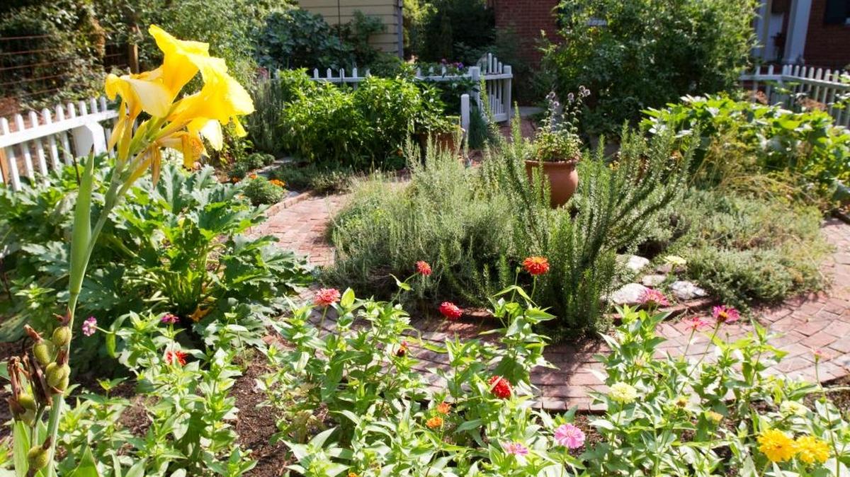 Cottage gardens often involve a picket fence.