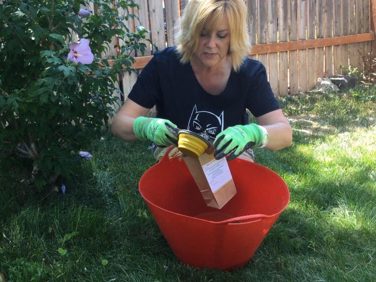 Mix up all of your soil samples in a plastic tub, then use a measuring cup to put 1 to 2 cups in bag that you will submit to the lab.
