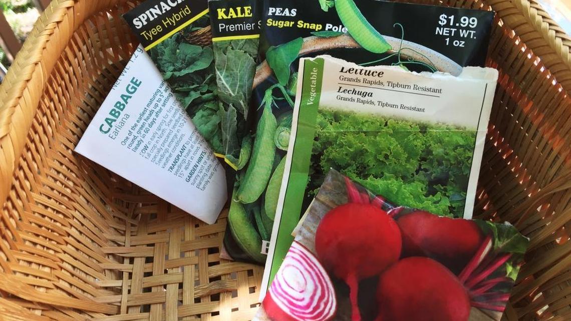 Want a bountiful Boise garden? Spring planting tips from Treasure Valley experts