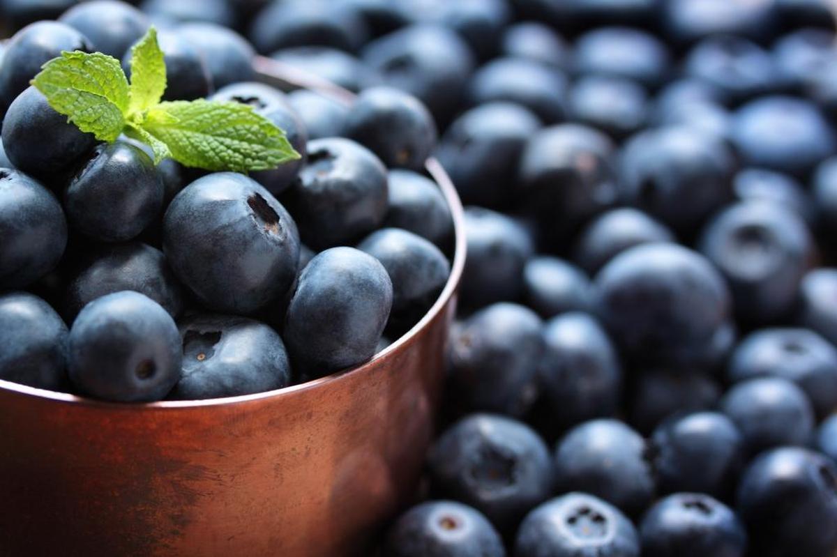 Zirkle is asking a judge to block a 50 percent increase in the piecemeal rate paid to blueberry pickers.