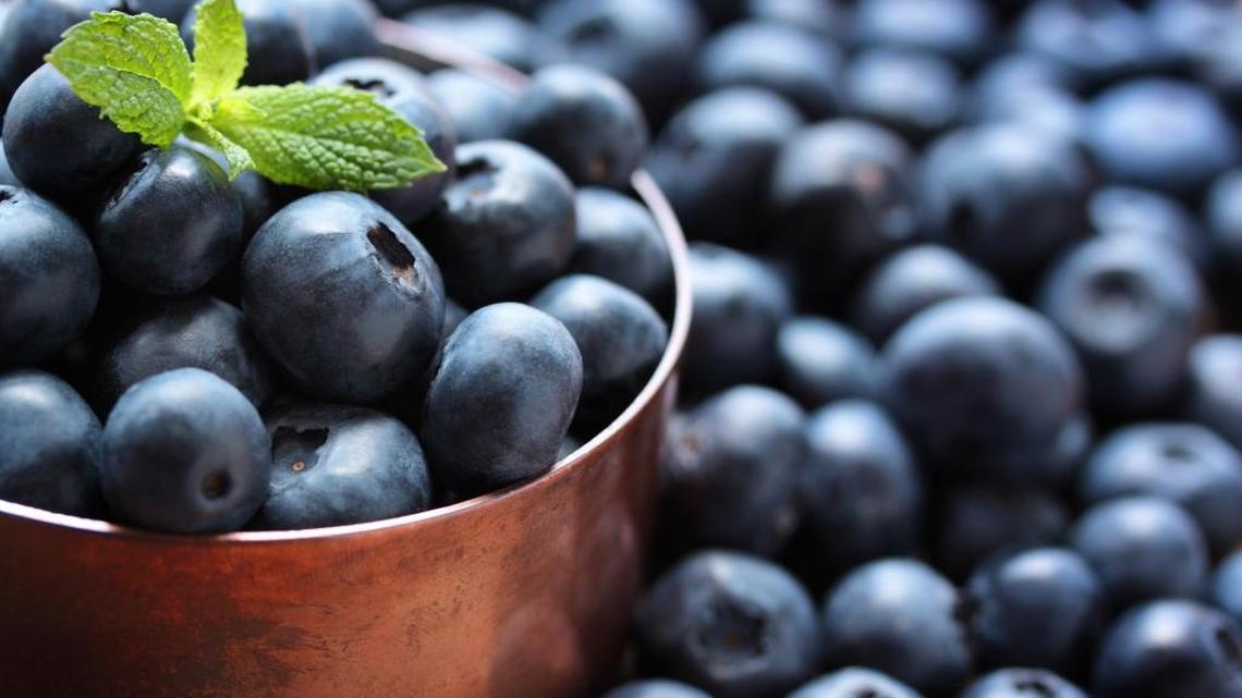 Blueberry season is half over. Feds say growers must pay pickers 50% more