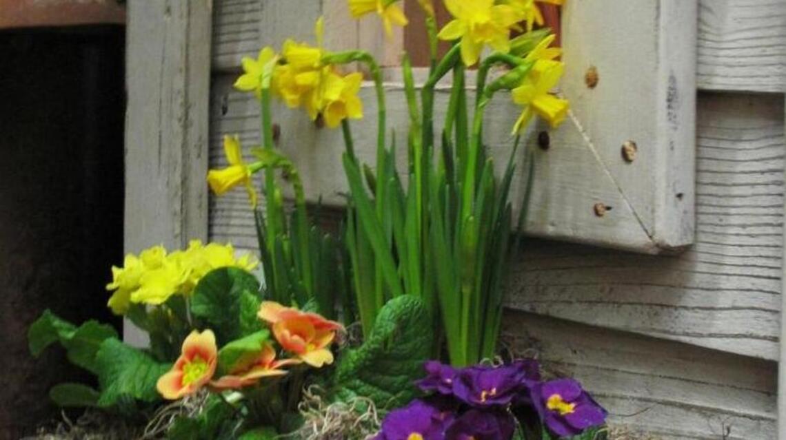 The Boise Flower and Garden Show is March 23-25