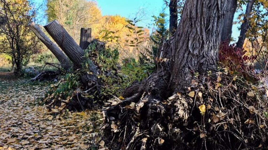 What did we learn from the Boise River’s flood of ’17?