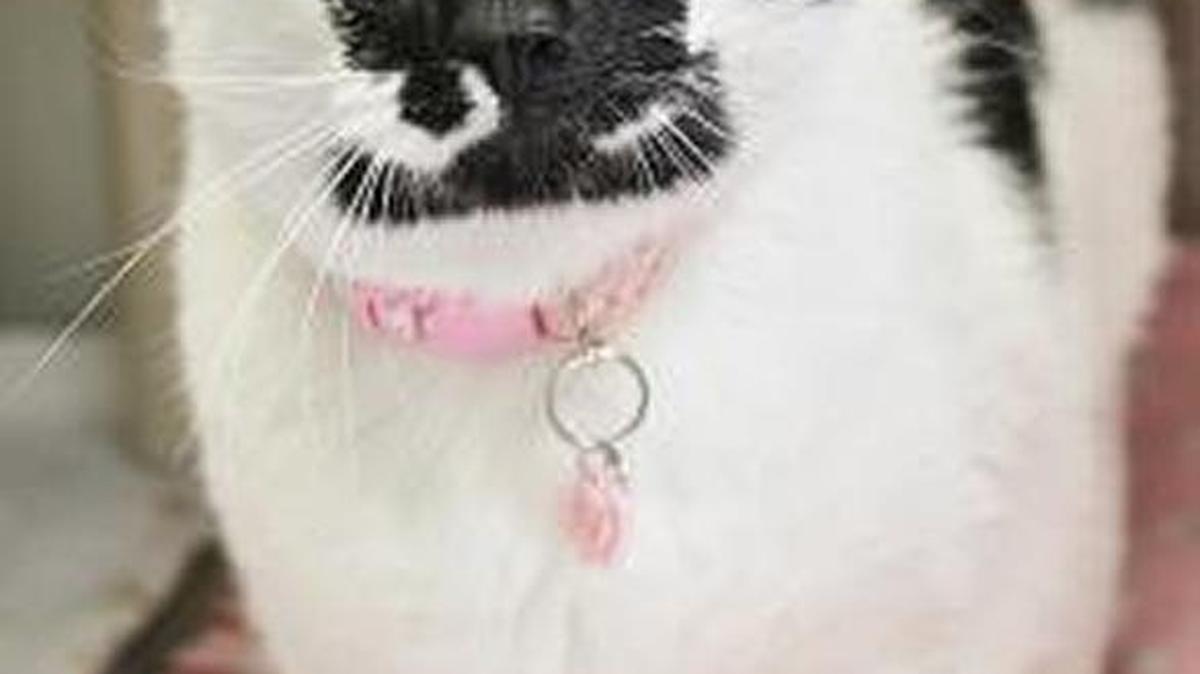 Lucy