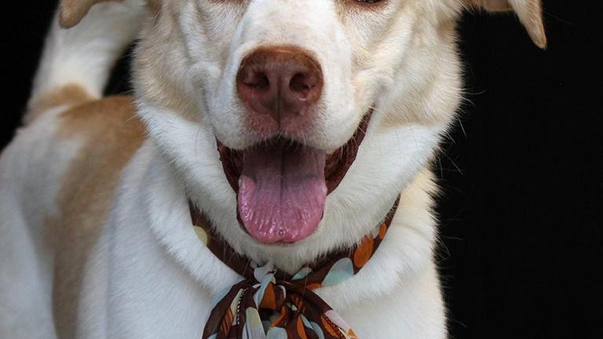Molly