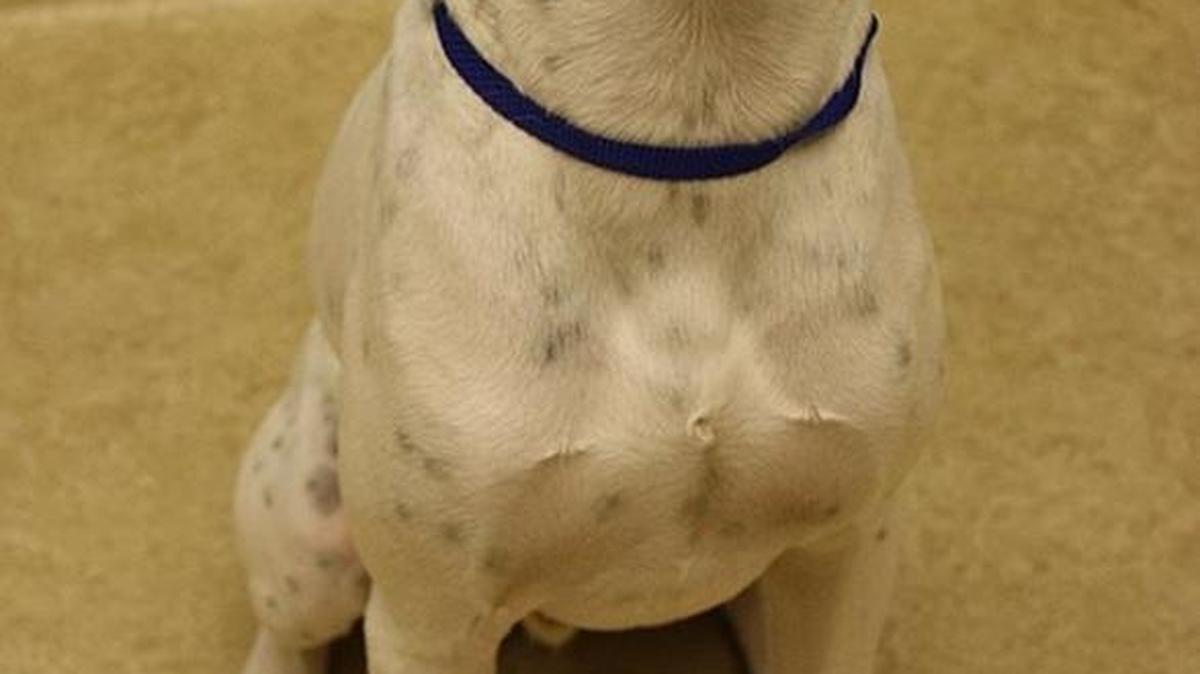 Casper