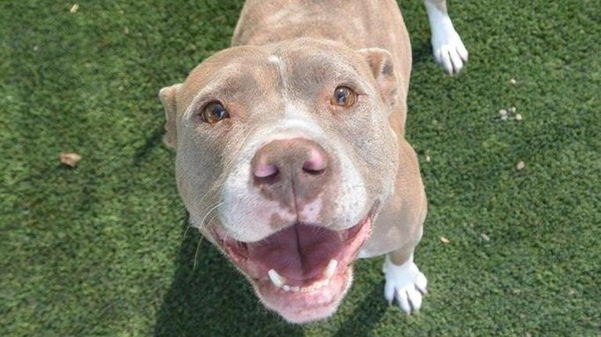 Luna