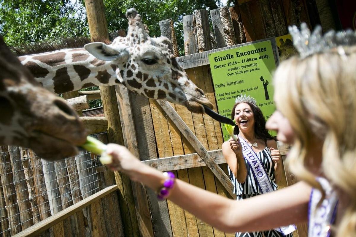 Zoo Boise features everything from giraffes to tigers.