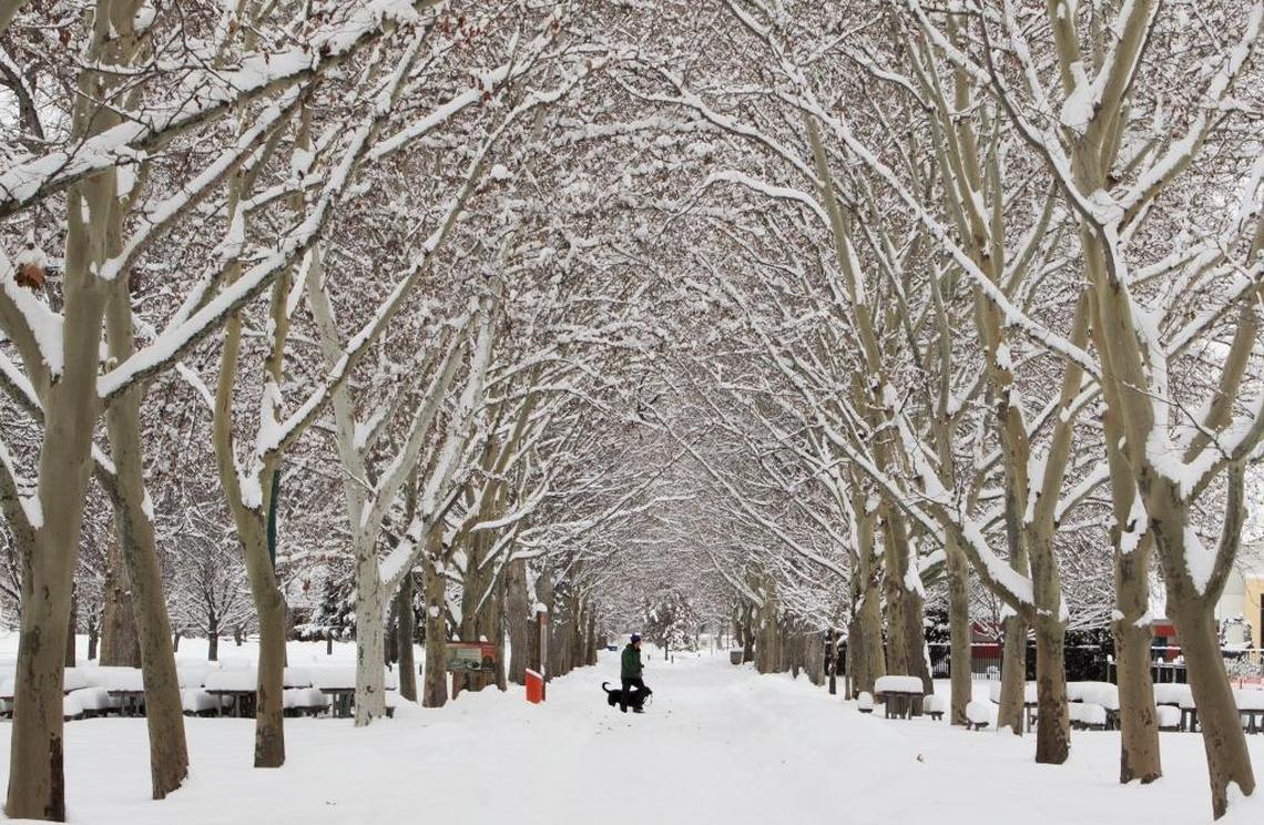 Julia Davis Park in Downtown Boise is the first of the Ribbon of Jewels.