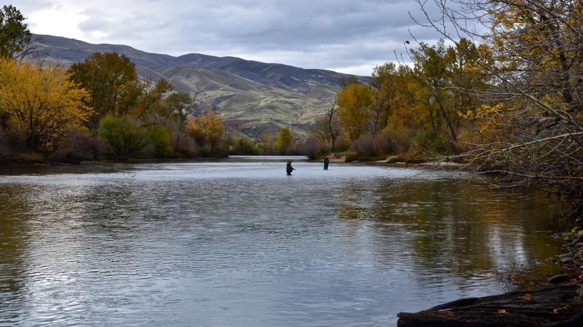 The Boise River, which flows through Boise, Garden City and Eagle, offers excellent fishing opportunities year-round.