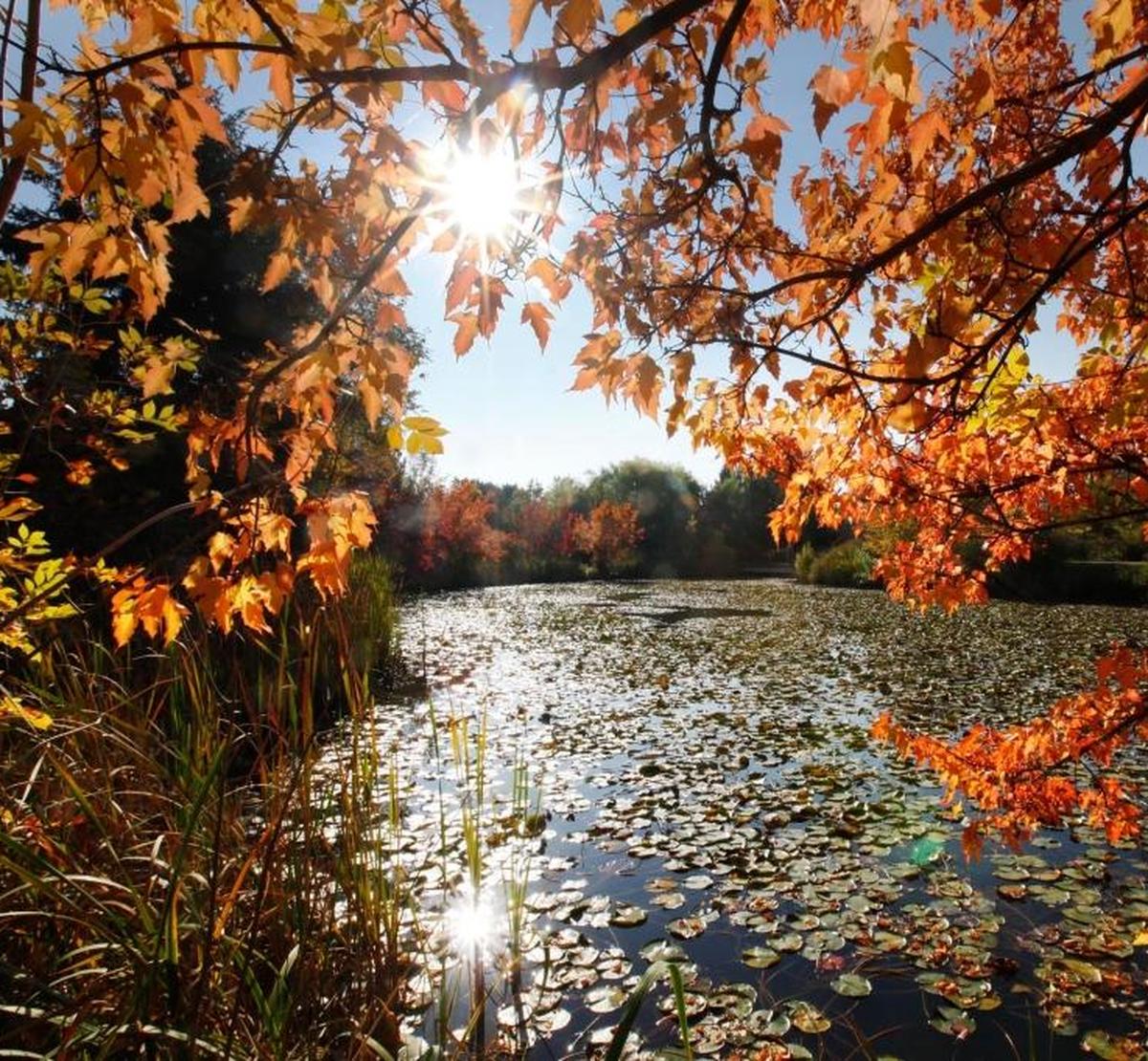Kathryn Albertson Park near Downtown Boise offers scenic views and an abundance of walking paths. It’s known for its spectacular fall foliage.