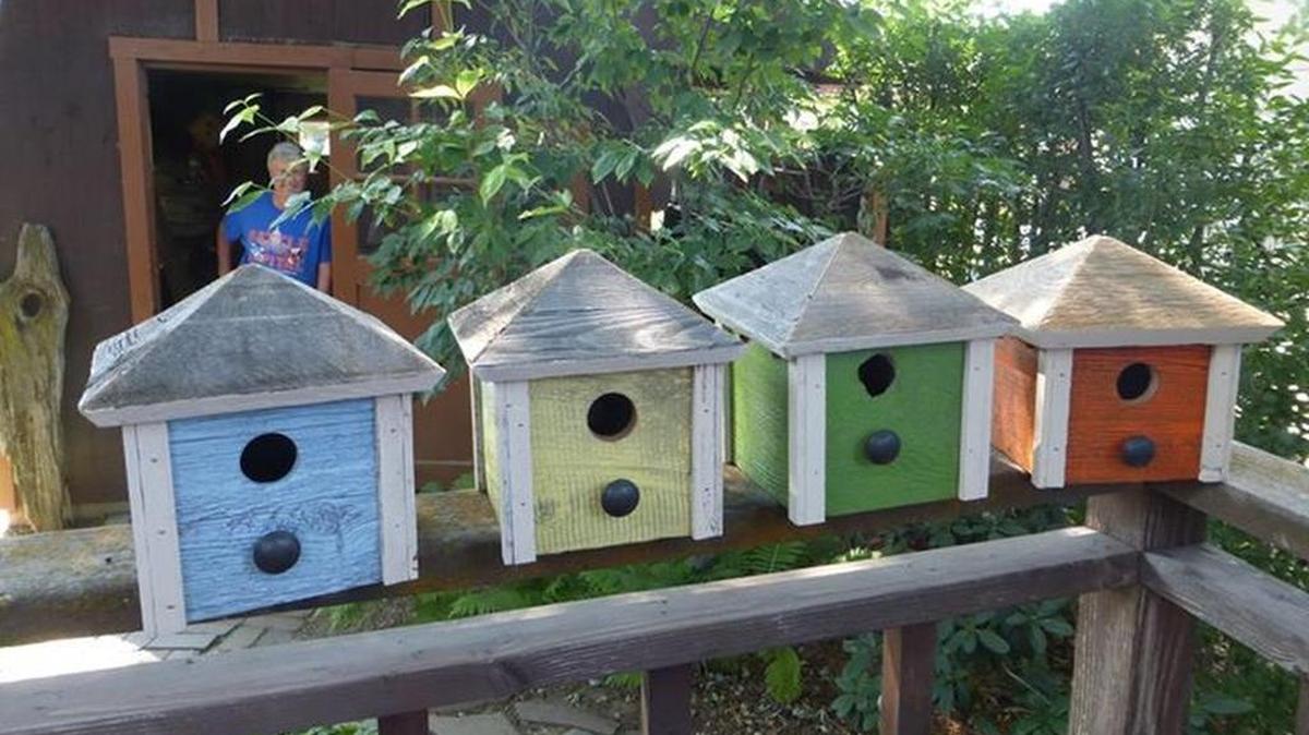 Buy simple wooden birdhouses. Paint them in vivid colors to highlight a color theme in your garden. Display a group of painted birdhouses together for maximum impact. 