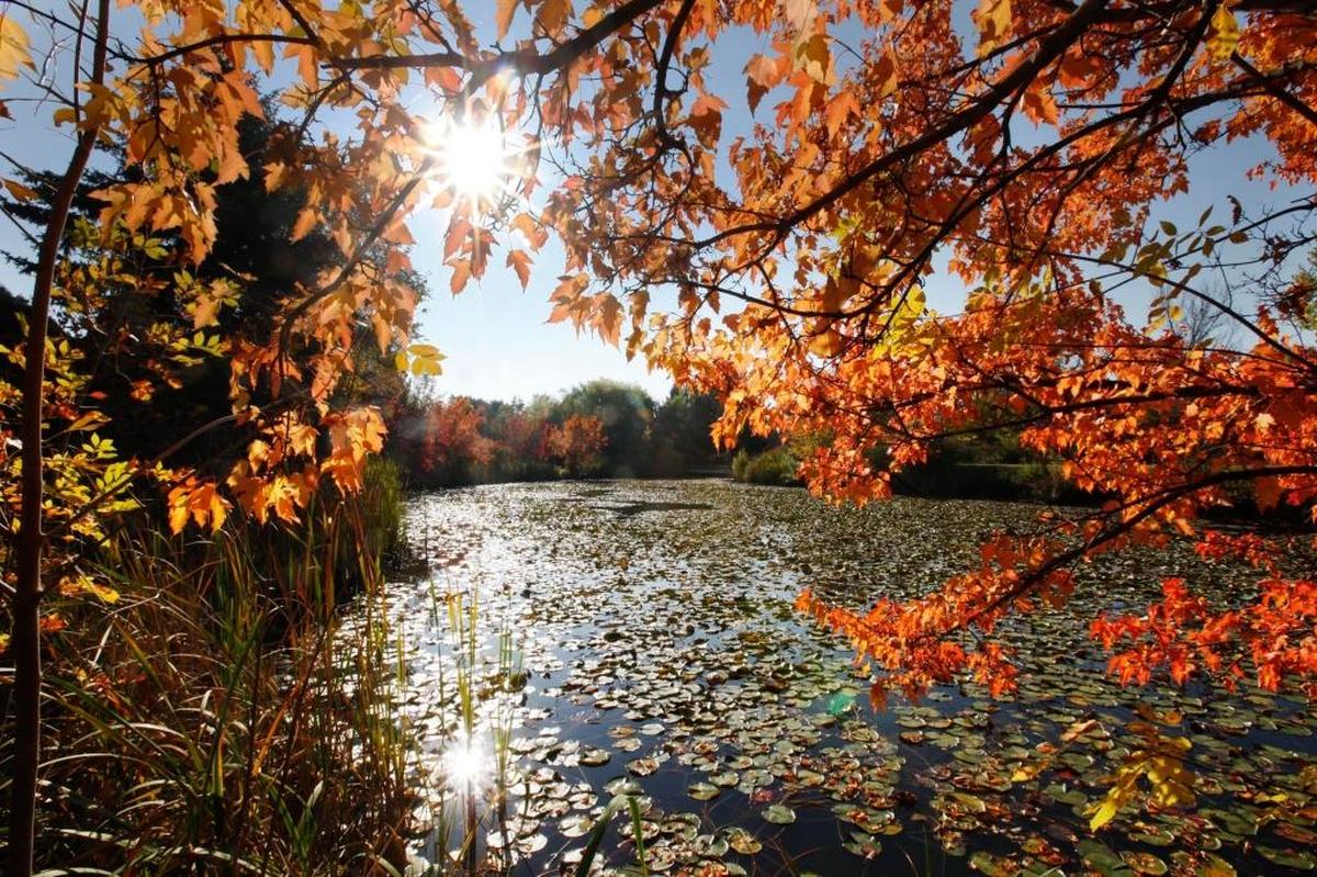 Kathryn Albertson Park near Downtown Boise offers scenic views and an abundance of walking paths. It’s known for its spectacular fall foliage.