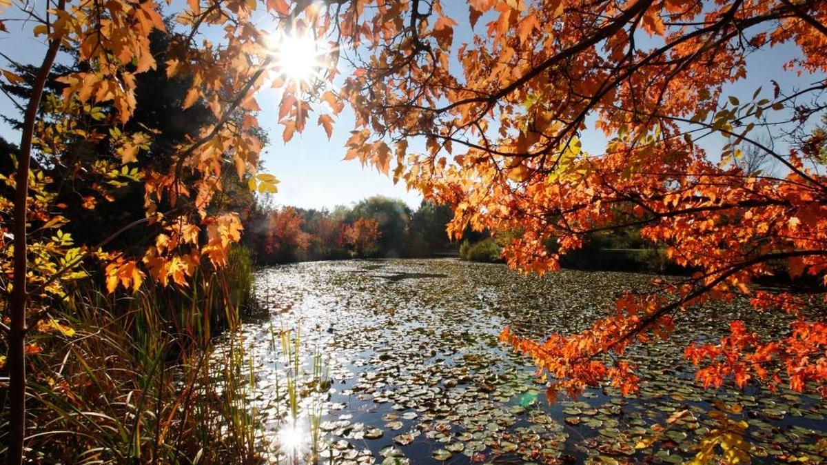 Kathryn Albertson Park near Downtown Boise offers scenic views and an abundance of walking paths. It’s known for its spectacular fall foliage.