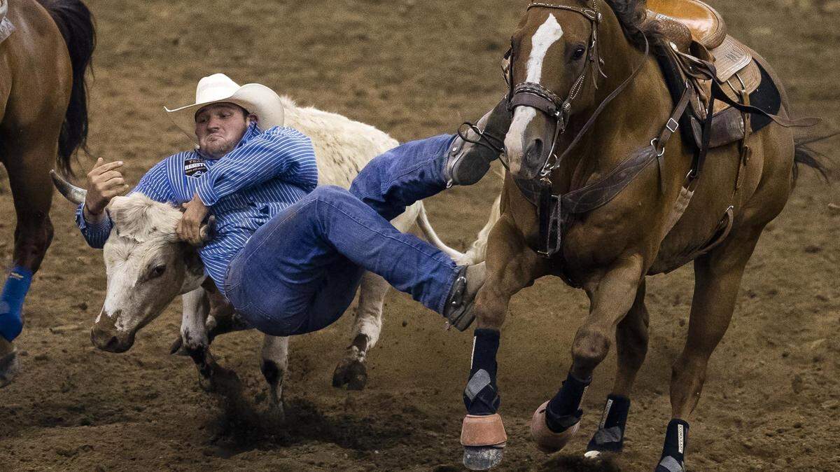Mike McGinn of Haines, Oregon, falls to his steer during the 2019 Snake River Stampede steer wresting finals. The annual rodeo will be held July 19-23 this year at the Ford Idaho Center in Nampa.