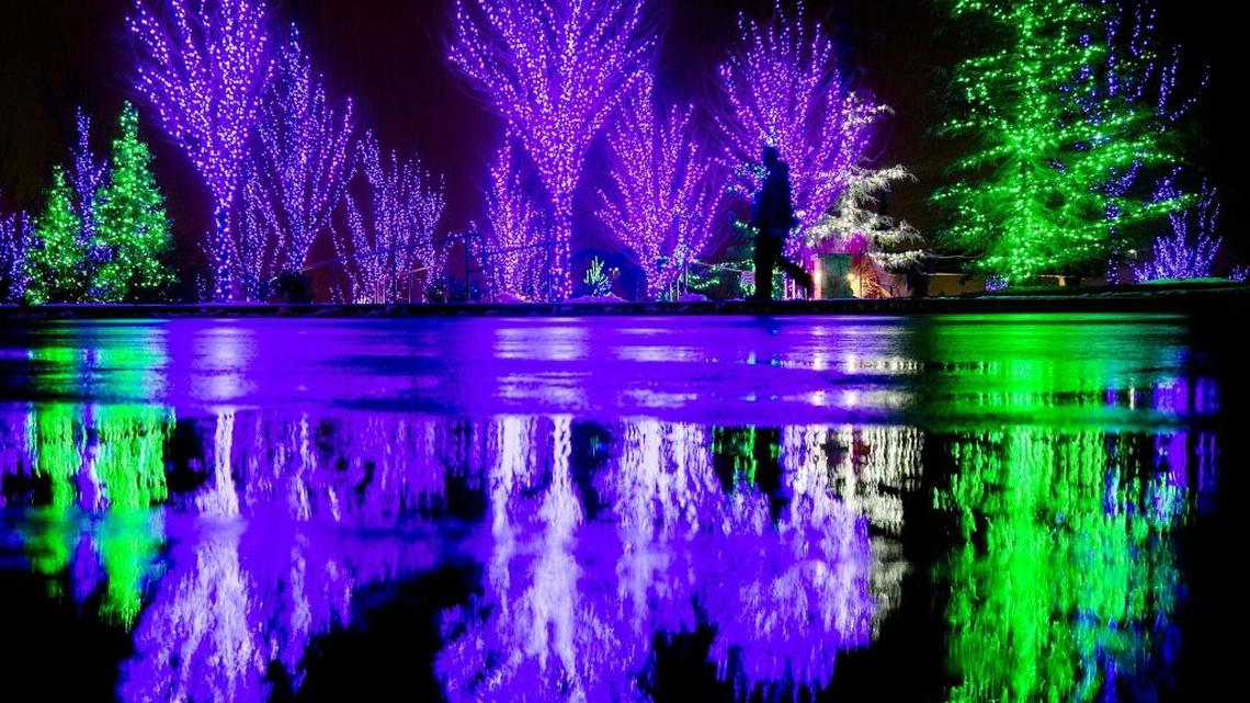 Scentsy has more than 26 miles of lights up on its campus at 2701 E. Pine Ave. in Meridian. People are welcome to come stroll the grounds. You can also view the Christmas trees in the lobby during business hours.