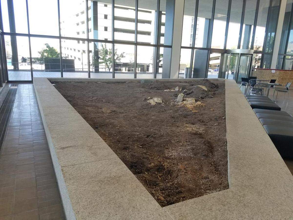 The Boise Plaza has removed tall ficus trees that occupied four corner planters in the lobby of the Boise Plaza. Owners plan to create more open space with seating areas and a coffee bar in the 10,000-square-foot lobby.