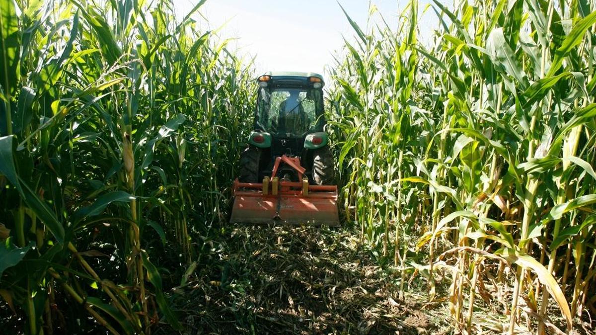 Shawn Stolworthy, of Firth, uses a GPS-equipped tractor to create the maze at Linder Farms in Meridian in 2009. GPS is one of many government creations and projects that have spurred American economic development, Ed Lotterman writes.