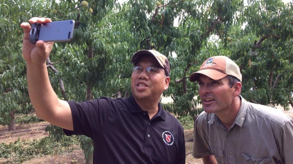 Orchard owner Mike Williamson, right, watches Northwest Nazarene University associate professor Duke Bulanon take an infrared photo of peaches in Nampa.