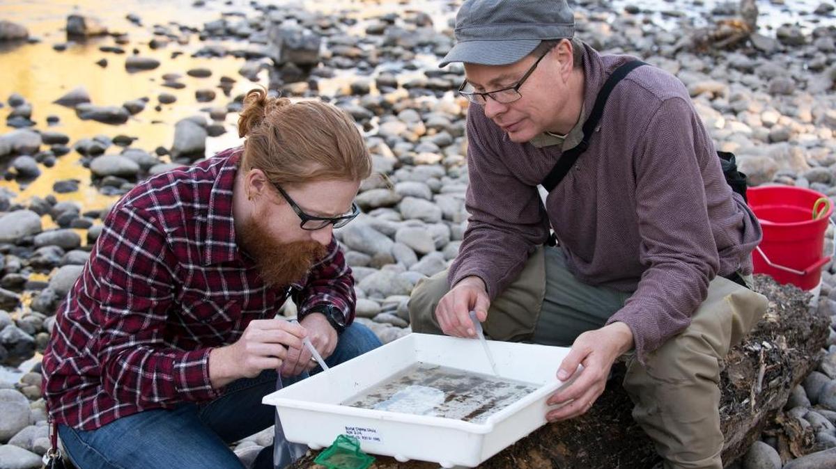 Boise State associate professor of biology Merlin White works with graduate student Michael McCormick to isolate insects and arthropods pulled from the Boise River.