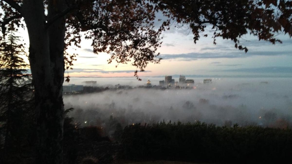 Nancy Napier finds she focuses best in a peaceful, not busy, setting.
