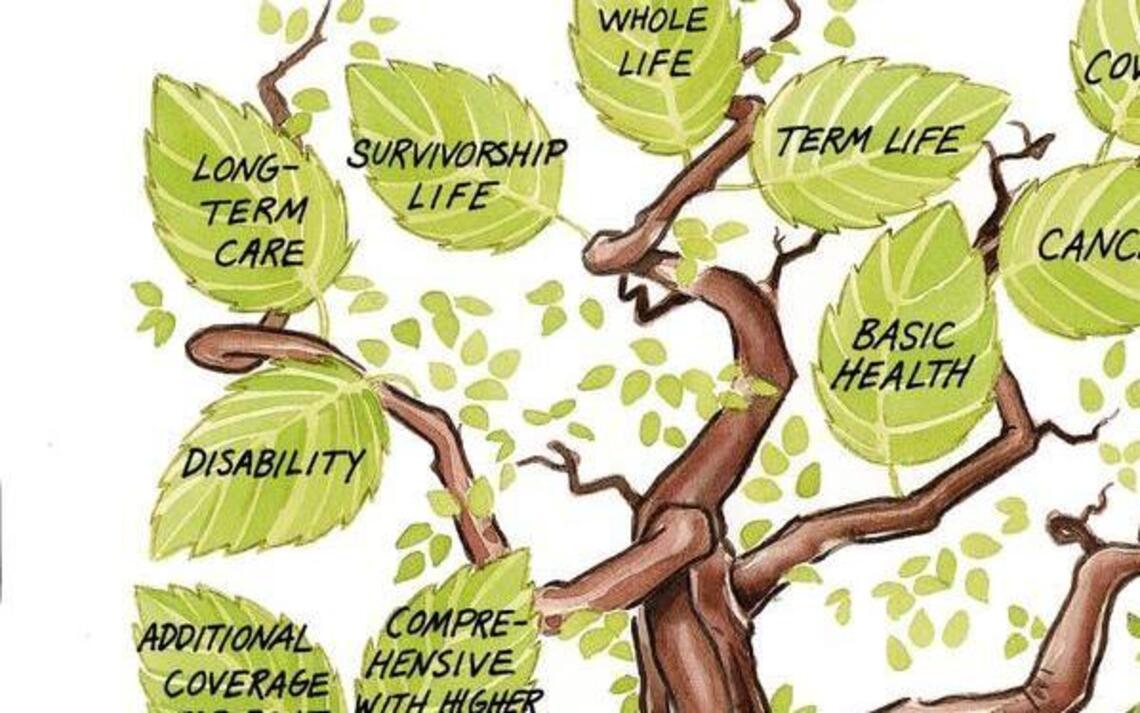 Know your Medicare ABCs