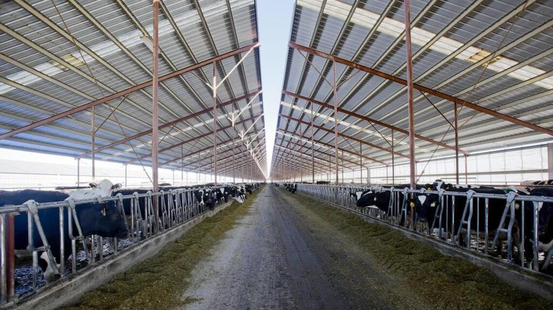 Canada places an unfair burden on Idaho dairy farmers