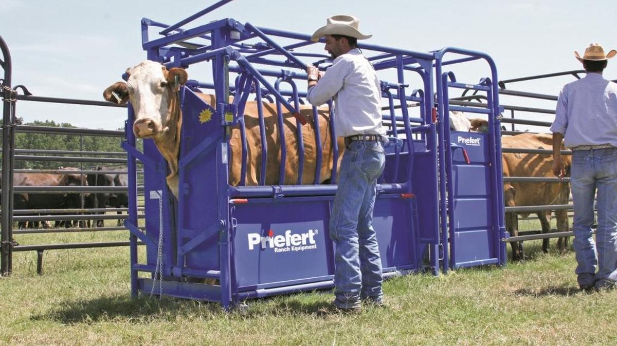 Priefert’s Squeeze Chute is designed to make cattle work safer and quicker.