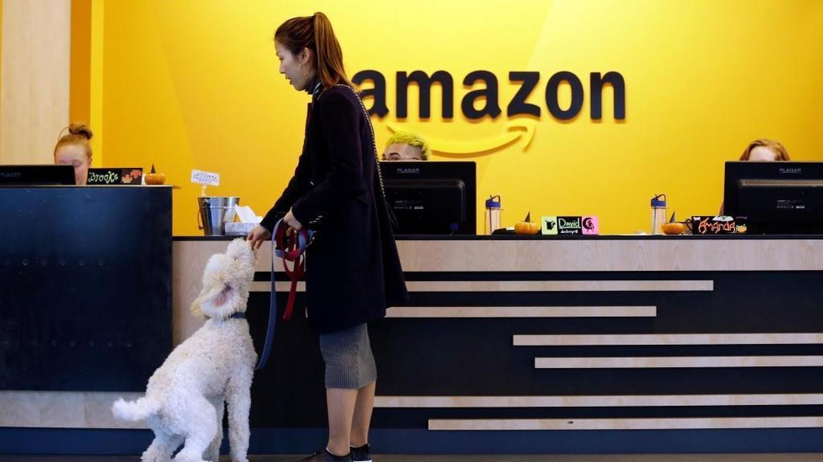Nowhere in Idaho meets Amazon’s criteria for HQ2, the company’s second headquarters in North America. Gov. Butch Otter and Boise Valley Economic Partnership sent letters urging Amazon to keep the Gem State in mind as it considers other projects. Here, an Amazon employee gives her dog a biscuit as the pair head into a company building in Seattle.