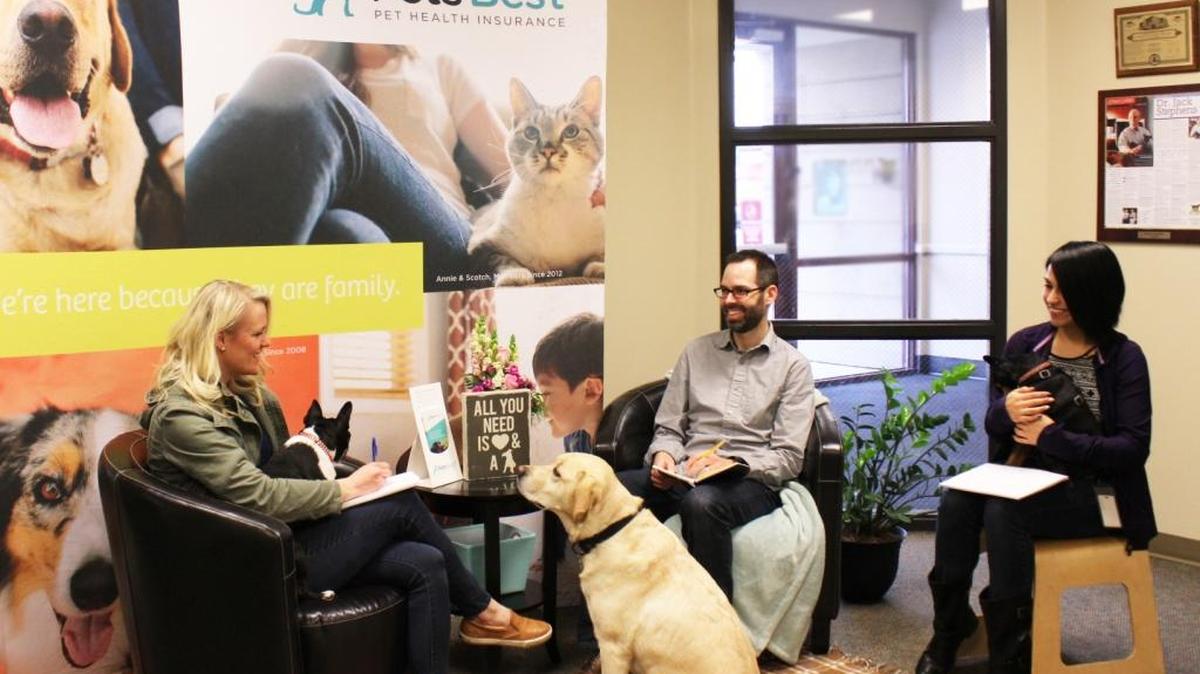 Employees sit with their dogs at the Boise offices of Pets Best.