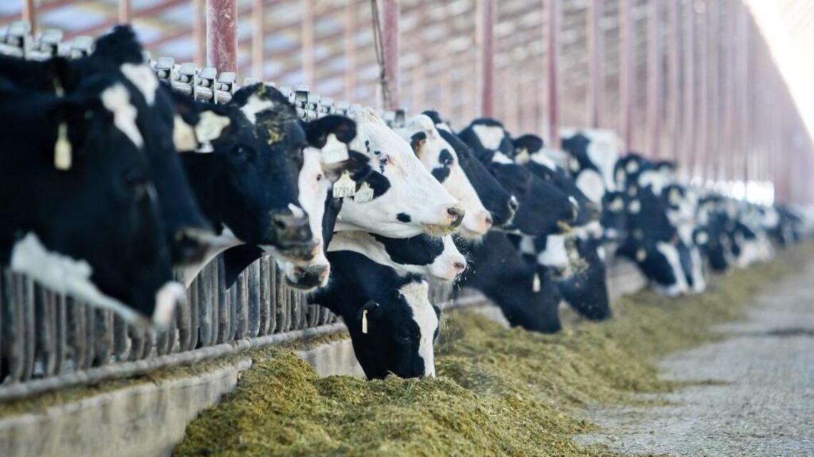 Nine people in Ada County have ‘serious illness’ linked to raw milk