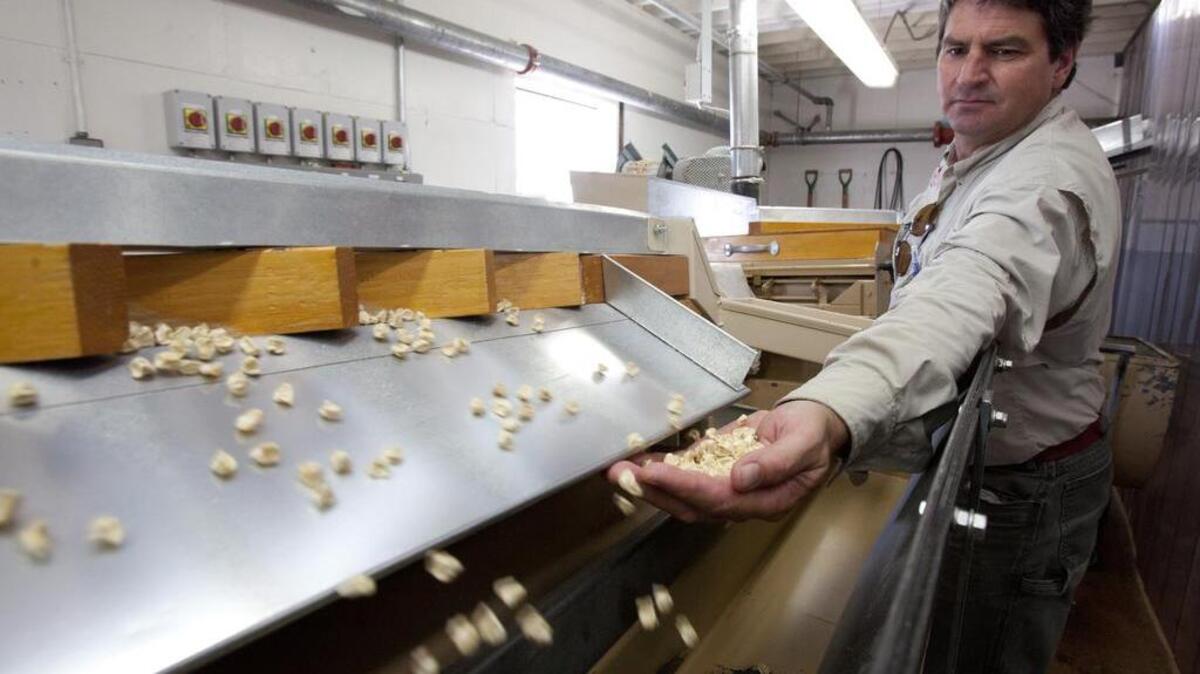 Crookham Co.’s CEO George Crookham explains the process of converting fresh-picked corn from the field into seeds ready to be sold, in this photo from 2012.