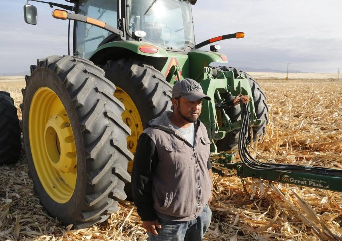 Eduardo Juarez Guillen has worked at Flying H Farms in Mountain Home for the past nine years, after spending a few years at other, larger farms in Idaho. He says the work is good — laying irrigation pipes, supervising fellow H-2A visa workers and doing end-of-season tasks like tilling the fields with this tractor.