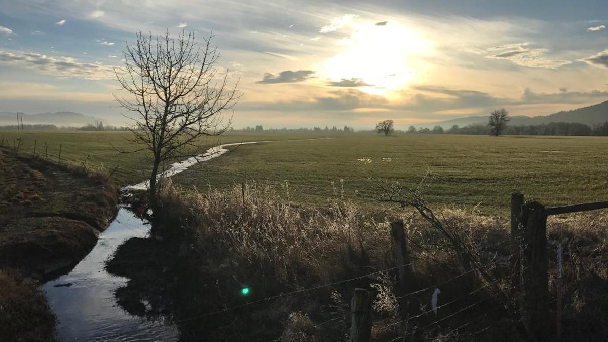 Another day dawns in Western Oregon’s Linn County, grass seed capital of the world. Some players in the industry fear a genetically modified grass on the loose in Oregon could hurt their business.