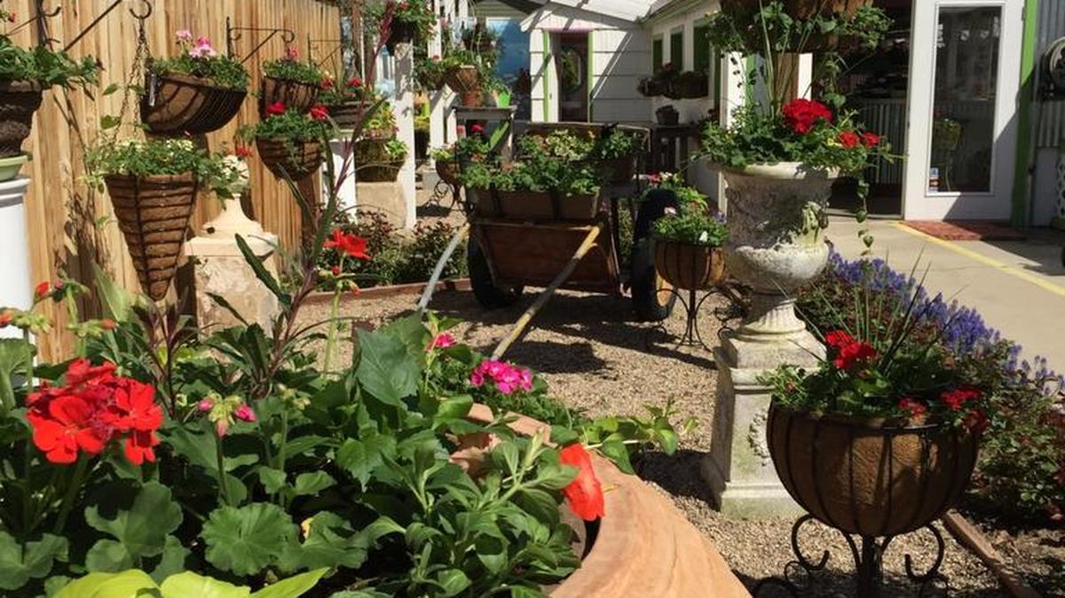 Leaf Greenhouse courtyard.