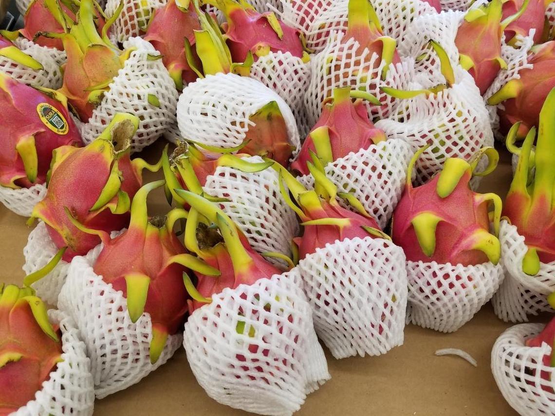 Dragon fruit, a member of the cactus family, is increasingly found in the United States. It is typically cut in half and the flesh scooped out with a spoon.