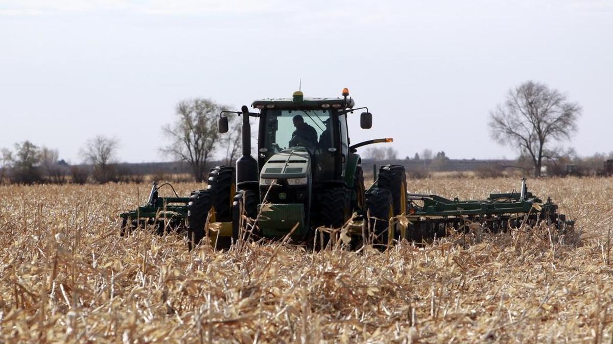 Joe Harper and a foreign visa worker mulch a cornfield using a tractor and tiller at Flying H Farms in Mountain Home in late October. The son of Jeff Harper, Joe is a partner in the business. The farms have a small staff, relying on workers who return each year through the H-2A visa program.