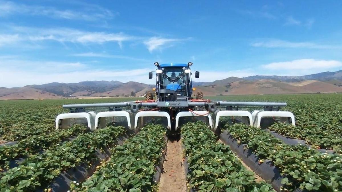 This GenZ sprayer is designed for row crops such as grapes, lettuce or, as shown, strawberries.