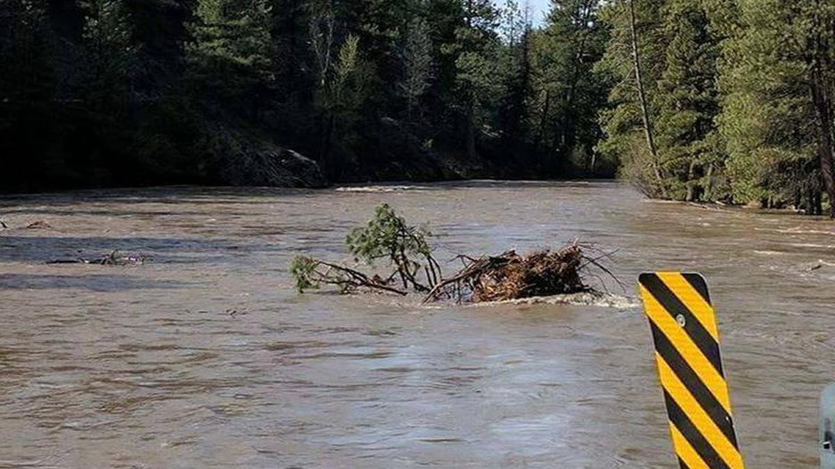 The Elmore County Sheriff’s Office shared this photo of flooding in the mountains on its Facebook page.