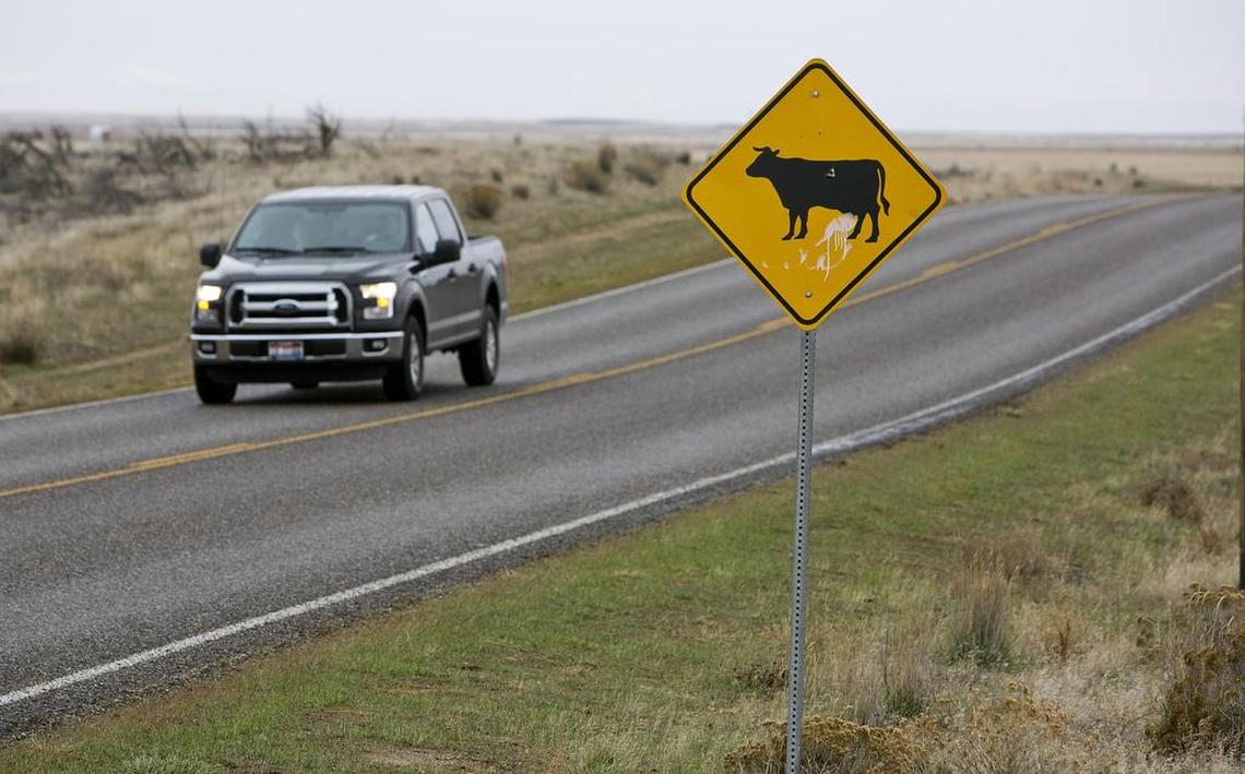 A car passes a cattle sign on Simco Road in Elmore County.