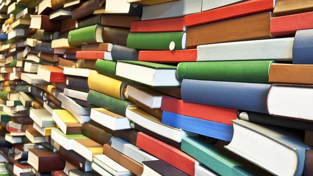 If you’ve let those Nampa Public Library fines stack up, you can cut what you owe with a donation.