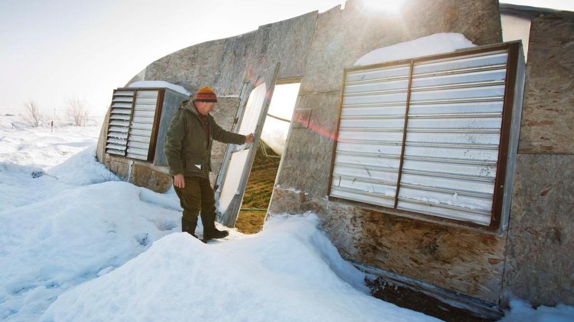 Five greenhouses at Purple Sage Farms collapsed under the weight of December’s snowstorms. Three greenhouses are standing, but are missing their plastic covering, which employees cut as a preemptive measure.
