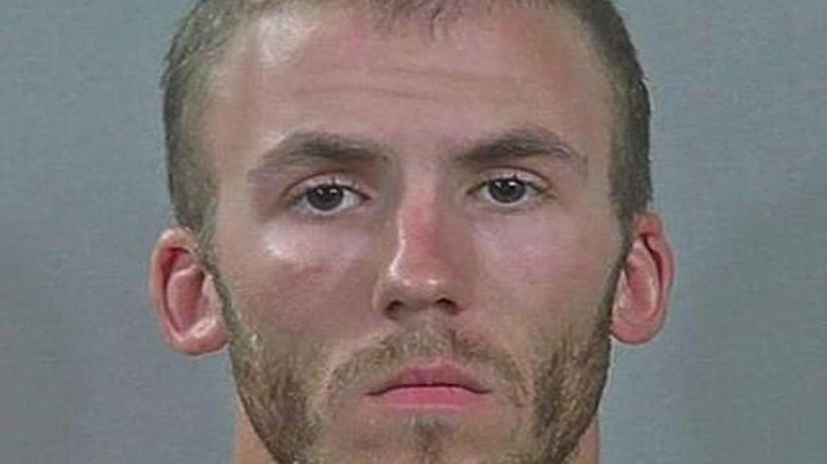 Kelly Schneider